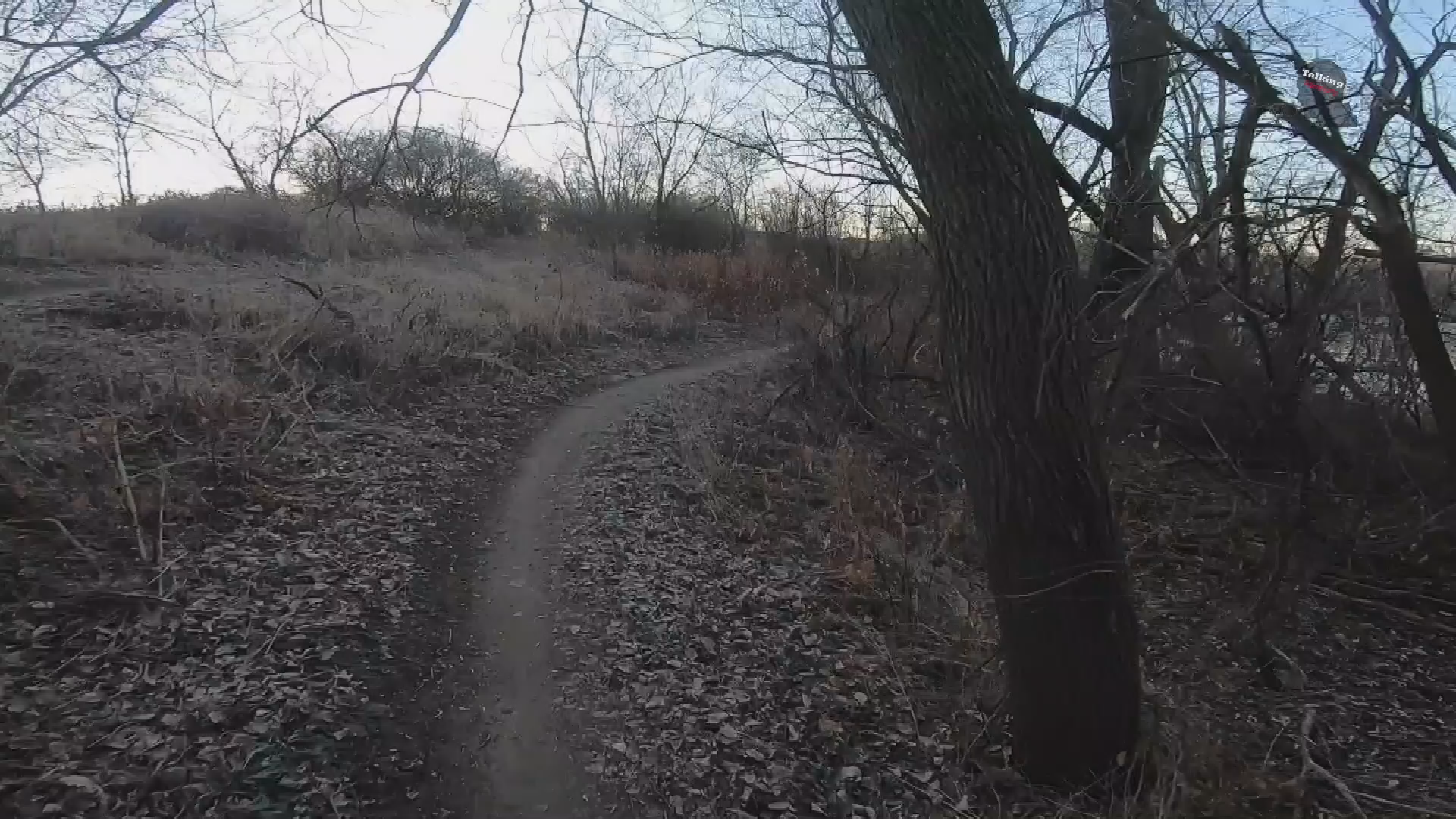 Thumbnail image for TFR Quarry Ridge Mt Bike Trail 3-17-21