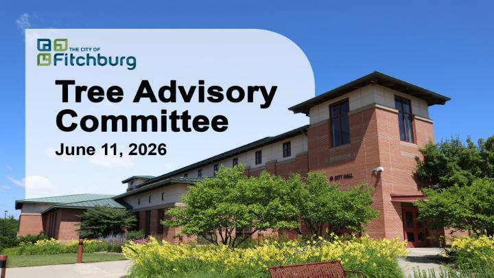Thumbnail image for Tree Advisory Committee 6-11-26