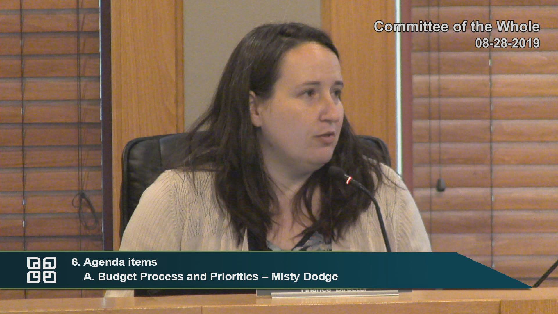 Committee of the Whole 8-28-19